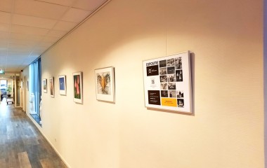 Afbeelding Donaties van wissellijsten gezocht 