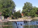 Hofsteenge & Wesseling Notarissen - Tuindorpbad 2021